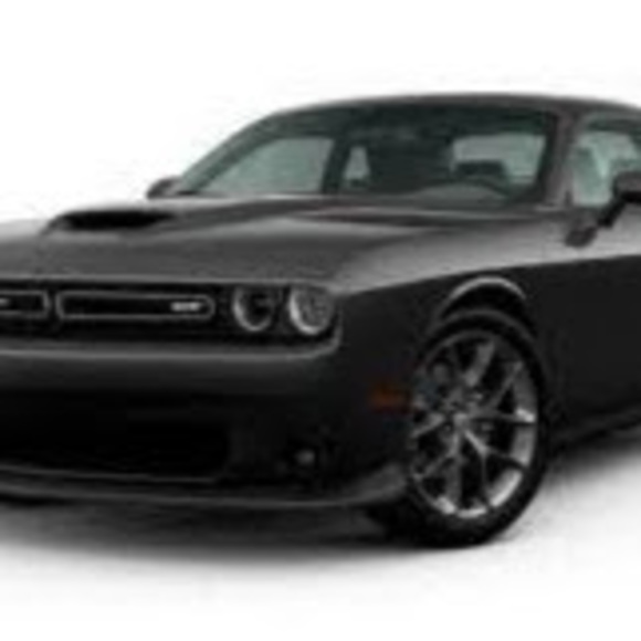 Meet your Posher, Rylee - Picture 1 of 1